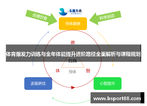 体育爆发力训练与全年体能提升进阶路径全面解析与课程规划