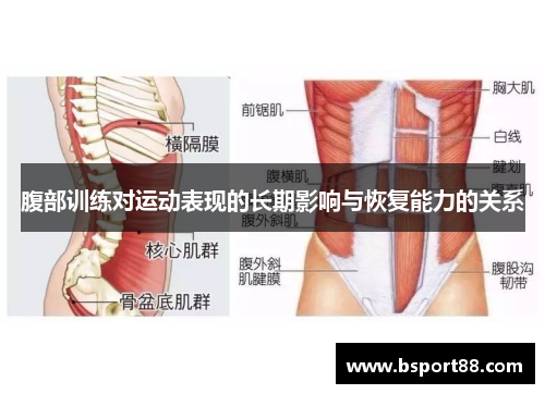 腹部训练对运动表现的长期影响与恢复能力的关系