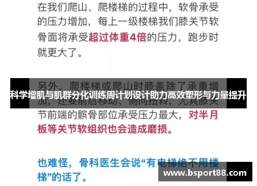 科学增肌与肌群分化训练周计划设计助力高效塑形与力量提升