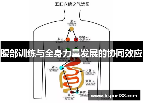 腹部训练与全身力量发展的协同效应
