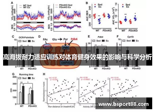 高海拔耐力适应训练对体育健身效果的影响与科学分析