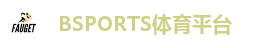 BSPORTS体育平台